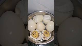 🥚வேக வைத்த முட்டை #egg #egglover #youtubeshorts #trending #viral #viralvideo #shortsfeed #shorts #yt