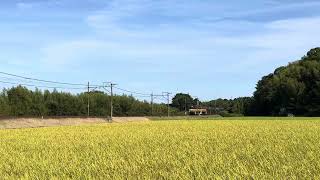 三岐鉄道ED45形貨物　三岐鉄道三岐線山城〜保々