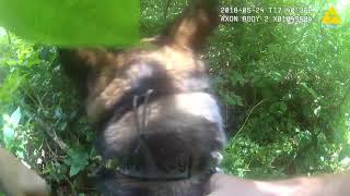 Sgt. Ferguson and K9 Titan track in woods