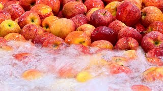 Cold-pressed Fruit Juices with High Pressure Processing in Taiwan.