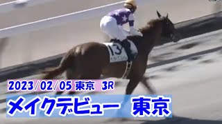 2023/02/05【パドック返し馬つき】東京3R　メイクデビュー東京　　☆サンライズフレイム 　ドレフォン　＃レースは11分ころから