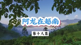 阿龍在越南生活越來越好，全家動手建造中式灶臺，太漂亮了 #荒野求生 #荒野独居 #求生挑战 #生存挑战 #荒野