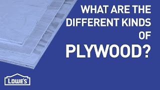 Which Plywood Should I Use? | DIY Basics