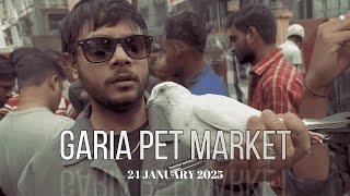 Uncover the Secrets of Garia's PIGEON MARKET!