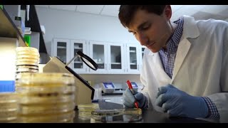 Lab View of How CERTILLUS and Microbial Terroir Build Resilient Dairy Cows