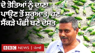 Bird lover ਨੂੰ ਮਿਲੋ ਜਿਨ੍ਹਾਂ ਦੀ Friendship ਦੋ ਤੋਤਿਆਂ ਨਾਲ ਸ਼ੁਰੂ ਹੋਈ ਸੀ | BBC NEWS PUNJABI