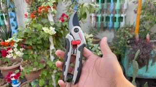 Crown plant pruning cutting tools review