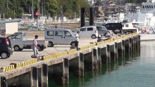 土曜日だけあって釣り人も増えてきた田辺市文里（もり）湾