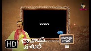 కదంబం | బాబాయ్ హోటల్ | 8 నవంబర్ 2017  | ఈటీవీ అభిరుచి