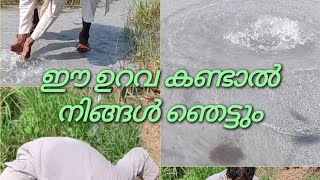 ഈ ഉറവ കണ്ടാൽ നിങ്ങൾ ഞെട്ടും