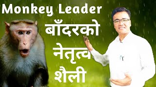 MONKEY LEADER / बाँदरको नेतृत्व शैली