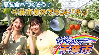 ザ・サンデー千葉市＃29「夏を食べつくそう♪千葉市食のブランド「千」！」2024/8/4