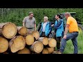 borkenkäfer im waldviertel thayatal.tv juni 2018