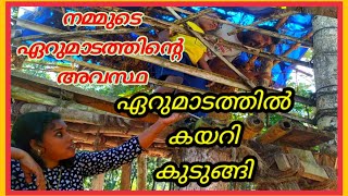 Dangerous Tree House. പഴയ ഏറുമാടത്തിൽ കയറി പണി കിട്ടി.