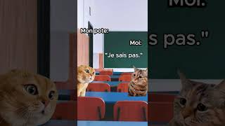 POV : Quand le prof est en retard 😅🕑  #catmemes #shorts #drole #divertissement