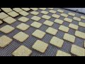 Soft Biscuit Production Line From Skywin