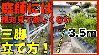 【庭師の工夫　三脚】前脚を立てれない状況を庭師はどのように三脚を立てるのか！？