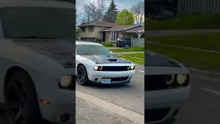 dodge charger#shorts #viral #mustang #trending #white