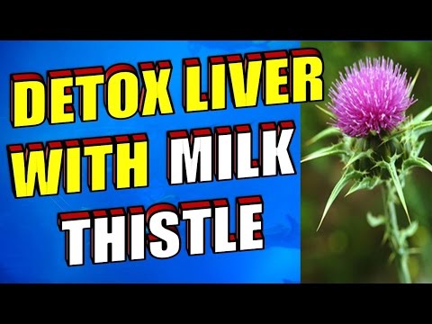 How To Detoxify Your Liver With Milk Thistle How To Detoxify Your Liver With Milk Thistle