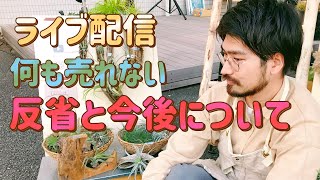 イベントの失敗にも負けずチランジア・ビカクシダ・塊根植物のご質問にお答えします