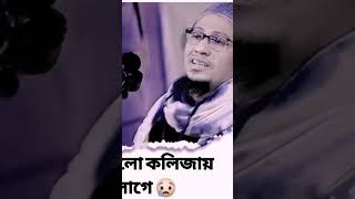 আহ কথা গুলো কলিজায় লাগে 😢 #ftypシ #highlights #vairalvideo #আনিছুর_রহমান_আশরাফি