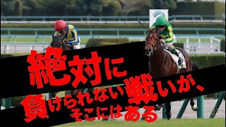 【競馬予想】11/28(日）複勝コロガシ徹底予想！もう負けられん…