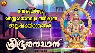 ശ്രീഭൂതനാഥൻ | Sree Bhootha Nadhan | Ayyappa Devotional | G Venugopal