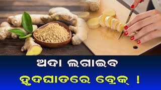 ନିୟମିତ ଅଦା ସେବନ କଲେ ମିଳିଥାଏ ଏହି ଫାଇଦା||Ginger Benefits@24newsodia