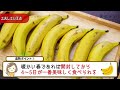 【訪問】水分補給にも…⁉︎さっぱり国産バナナの魅力。株式会社たかきさん②