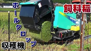 飼料稲の稲刈り！【タカキタWB1040DX】