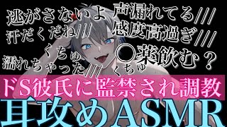 【耳鳴めASMR女性向けボイス】ドS彼氏に監禁されて〇薬飲まされ調教されて最後までされるASMR立体音響バイノーラル録音めねふ