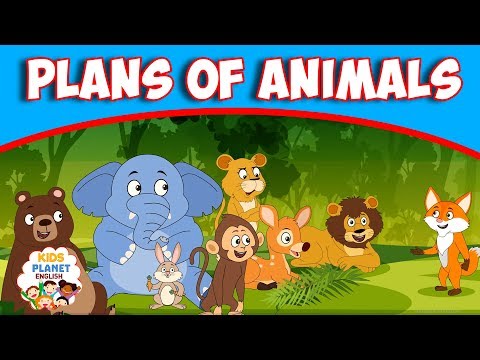 What are animal stories?