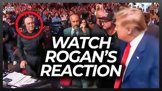 Watch Joe Rogan’s Reaction When Trump Goes Over to Shake His Hand at UFC Event