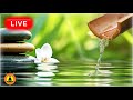 🔴 Zen Music 24/7, Quiet Music, Meditation Music, Spa Music, Sleep, Study Music, Flowing Water Sounds