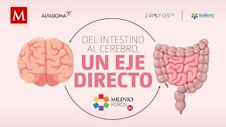 Del intestino al cerebro, un eje directo | Milenio Foros