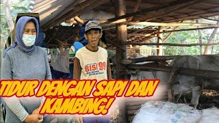 Bripka Bon Ali || Silaturohmi Dhuafa tidur bersama kambing!