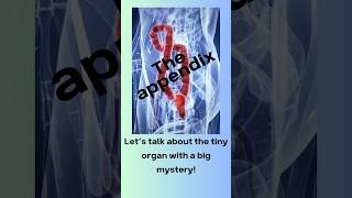 Tiny mystery organ- the appendix is our hero! Why?