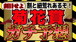 【菊花賞  2023】一波乱ありそうな長丁場！タスティエーラか？ソールオリエンスか？2週川田Jか？！