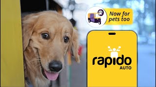 Rapido Auto Pet: Comfortable Rides for You and Your Pets!