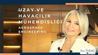 Havacılık ve Uzay Mühendisliği Aerospace Engineering - College Majors- Işıl Tabağ - Video 181