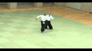 Aikido Tsuzuki Waza 9 Tsuki and Keri mit Michael Winter, Berlin (DVD-Trailer)