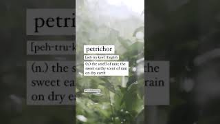 Rare words and their definitions: Petrichor [peh-tru-kaw] english