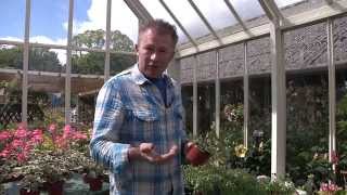 Summer Gardening tips with Toby Buckland