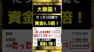 【たった2日で元本回収5回】規格外FX自動売買「COBRA」リリース間近です！