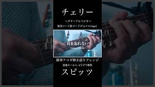 【歌詞コード:キー下げAメロ】チェリー/スピッツ coveredby 宮原まさゆき #shorts #ギター弾き語り #guitarcover #チェリー #スピッツ  #歌ってみた