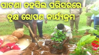 PLANTATION AT PATNA TAHASIL ll ପାଟଣା ତହସିଲ ପରିସରରେ ବୃକ୍ଷ ରୋପଣ କାର୍ଯ୍ୟକ୍ରମ ll @KeonjharTimes