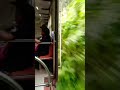 කෝච්චියේ ගිහින් තියෙයිද ..😍🚇🌿✨ viralvideo shorts train srilanka