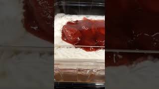 when your in Costco & see this strawberry shortcake cake 🍓#strawberryshortcake #icecreamcake #costco