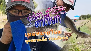 ป.ปลาตาเปี๊ยก EP.79 | เทสหมายใหม่ ลุยหมายเด็ด ประเดิมบ่อ