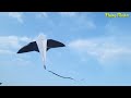 bird kite flying how to make kite flying homemade kite patang kese banate hai patang bazi